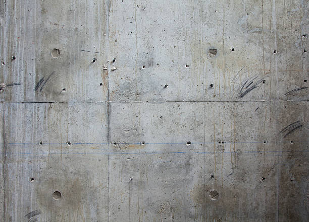 Best Stamped Concrete Services in Crystal River, FL